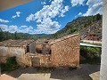 Dos casas mas ruinas y gran cantidad de terreno in Alicante Dream Homes Castalla 