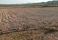 Terrain à bâtir à Salinas avec électricité à proximité et eau in Alicante Dream Homes Castalla 