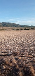 Terrain à bâtir à Salinas avec électricité à proximité et eau in Alicante Dream Homes Castalla 