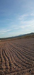 Baugrundstück in Salinas mit Strom in der Nähe und Wasserv in Alicante Dream Homes Castalla 