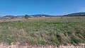 Terrain à bâtir à Salinas avec électricité à proximité et eau in Alicante Dream Homes Castalla 