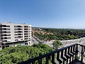 Appartement in Elx in Alicante Dream Homes Castalla 