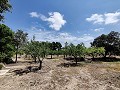 Detached Country House in Caudete in Alicante Dream Homes Castalla 