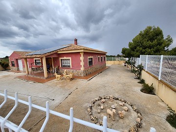 Villa 4 Chambres avec Piscine