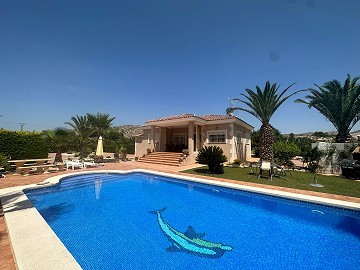 Amazing villa in Hondon de las nieves