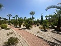 Superbe villa à Hondon de las nieves in Alicante Dream Homes Castalla 