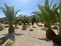 Erstaunliche Villa in Hondón de las nieves in Alicante Dream Homes Castalla 