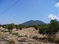 25,000 m2 Building land in Biar with water and electricity in Alicante Dream Homes Castalla 