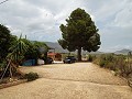 Villa mit 3 Schlafzimmern, Gästehaus, Pool und Garage in Alicante Dream Homes Castalla 