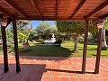 Wunderschöne Villa mit 5 Schlafzimmern und 5 Bädern in Pena de Las Aguilas,Elche in Alicante Dream Homes Castalla 