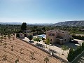 Großes Executive-Haus mit 5 Schlafzimmern und 10x5-Pool in Alicante Dream Homes Castalla 