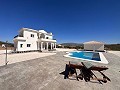 Luxury New Villa with pool and plot in Alicante Dream Homes Castalla 