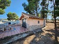 Villa de 4 chambres avec façade modernisée et piscine in Alicante Dream Homes Castalla 