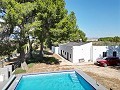 Villa de 4 chambres avec façade modernisée et piscine in Alicante Dream Homes Castalla 