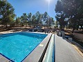 4-Schlafzimmer-Villa mit modernisierter Fassade und Pool in Alicante Dream Homes Castalla 