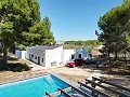 Villa de 4 chambres avec façade modernisée et piscine in Alicante Dream Homes Castalla 