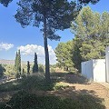 Villa de 4 chambres avec façade modernisée et piscine in Alicante Dream Homes Castalla 