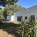 Villa de 4 chambres avec façade modernisée et piscine in Alicante Dream Homes Castalla 