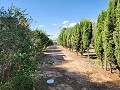 Villa met 4 slaapkamers, gemoderniseerd dashboard en zwembad in Alicante Dream Homes Castalla 