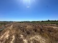 Long 10.000sqm building plot in Pinoso in Alicante Dream Homes Castalla 