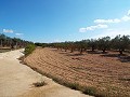 Groot landhuis, op loopafstand van de stad in Alicante Dream Homes Castalla 