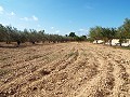 Gran casa de campo, a poca distancia de la ciudad in Alicante Dream Homes Castalla 