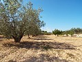 Grande maison de campagne, à distance de marche de la ville in Alicante Dream Homes Castalla 