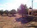 Large Country house, walking distance to Town in Alicante Dream Homes Castalla 