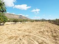 Grande maison de campagne, à distance de marche de la ville in Alicante Dream Homes Castalla 