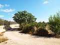 Groot landhuis, op loopafstand van de stad in Alicante Dream Homes Castalla 