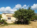 Grande maison de campagne, à distance de marche de la ville in Alicante Dream Homes Castalla 