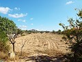 Grande maison de campagne, à distance de marche de la ville in Alicante Dream Homes Castalla 