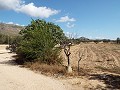 Groot landhuis, op loopafstand van de stad in Alicante Dream Homes Castalla 