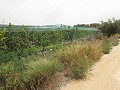 Plot of Land near Alenda Golf  in Alicante Dream Homes Castalla 