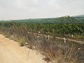 Plot of Land near Alenda Golf  in Alicante Dream Homes Castalla 