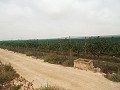 Terrain à bâtir près du Golf d'Alenda in Alicante Dream Homes Castalla 