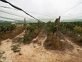 Doppeltes Baugrundstück in der Nähe des Golfplatzes Alenda in Alicante Dream Homes Castalla 