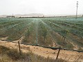 Doppeltes Baugrundstück in der Nähe des Golfplatzes Alenda in Alicante Dream Homes Castalla 