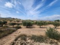 Terrain à Sax avec eau et petite maison in Alicante Dream Homes Castalla 