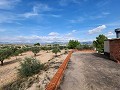 Terrain à Sax avec eau et petite maison in Alicante Dream Homes Castalla 