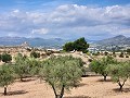 Grundstück in Sax mit Wasser und kleinem Haus in Alicante Dream Homes Castalla 