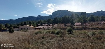 Terreno De 10.012m² En Posición Elevada