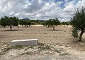 Villa de 4 chambres avec piscine à seulement 500 mètres à pied de la ville de Sax in Alicante Dream Homes Castalla 