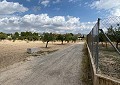 4-Schlafzimmer-Villa mit Pool, nur 500 Meter zu Fuß von der Stadt Sax entfernt in Alicante Dream Homes Castalla 