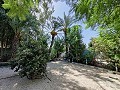 Landhaus mit Pool und Nebengebäuden in Alicante Dream Homes Castalla 