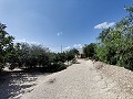 Deux propriétés sur un terrain à Crevillente in Alicante Dream Homes Castalla 