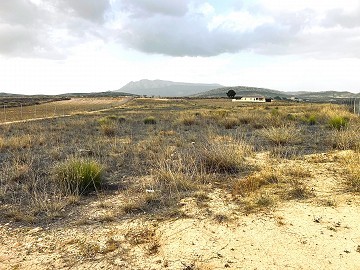 Terrain, à vendre à Torre del Rico