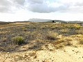 Land, for Sale in Torre del Rico in Alicante Dream Homes Castalla 