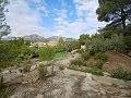 Lovely 2 Bedroom Country house in La Romana in Alicante Dream Homes Castalla 