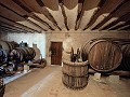 Grande maison historique et bodega à Pinoso in Alicante Dream Homes Castalla 